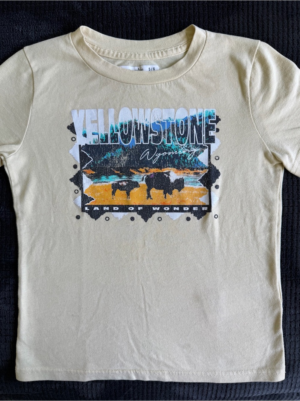 Abercrombie Kids T-shirts Bundle - Size: 5/6 - Picture 8 of 11